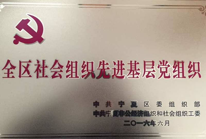 全區(qū)社會組織先進基層黨組織.jpg